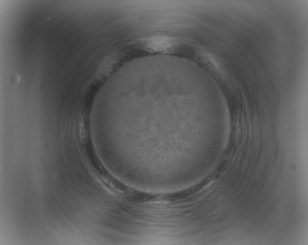 X0000069810408200605221209