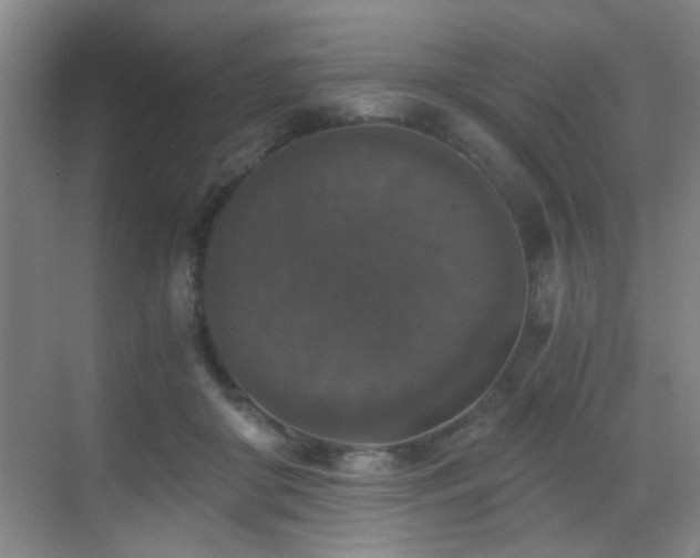 X0000069810410200605221209