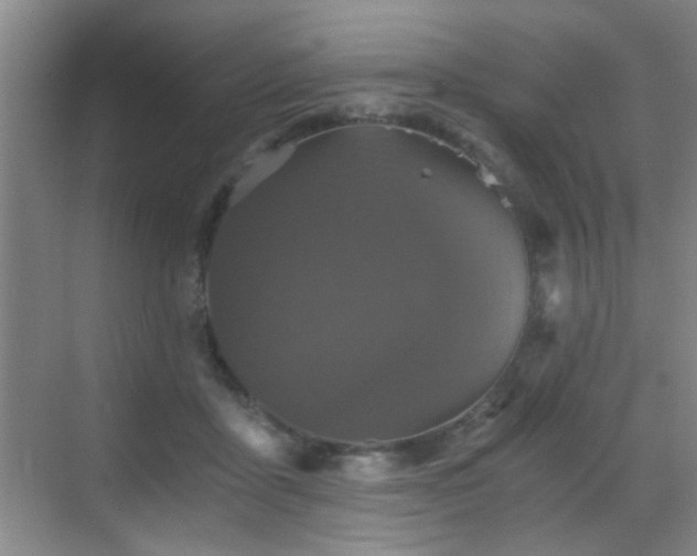 X0000069810411200605221209