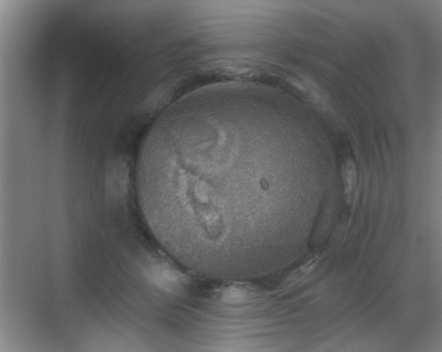 X0000069810412200605221209