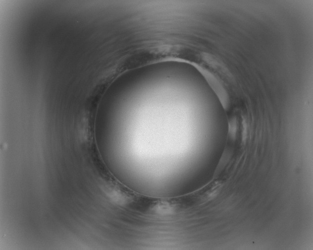 X0000069810416200605221209