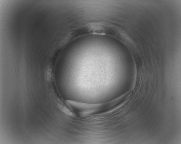 X0000069810417200605221209