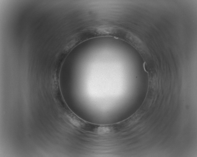 X0000069810418200605221209