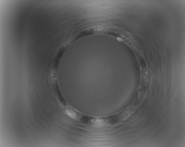 X0000069810419200605221209