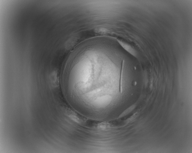 X0000069810420200605221209