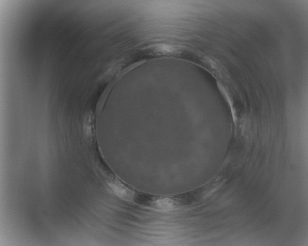 X0000069810423200605221209