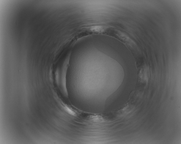 X0000069810424200605221209