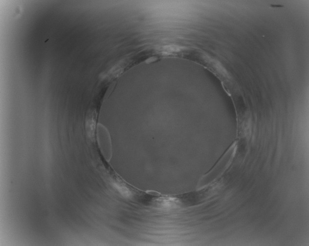 X0000069810427200605221209