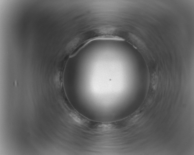 X0000069810428200605221209