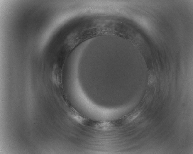 X0000069810431200605221209