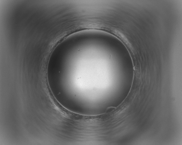 X0000069810433200605221208