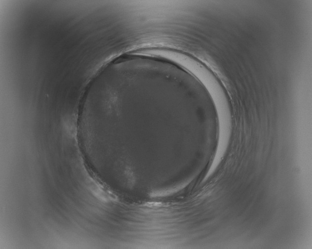 X0000069810434200605221208