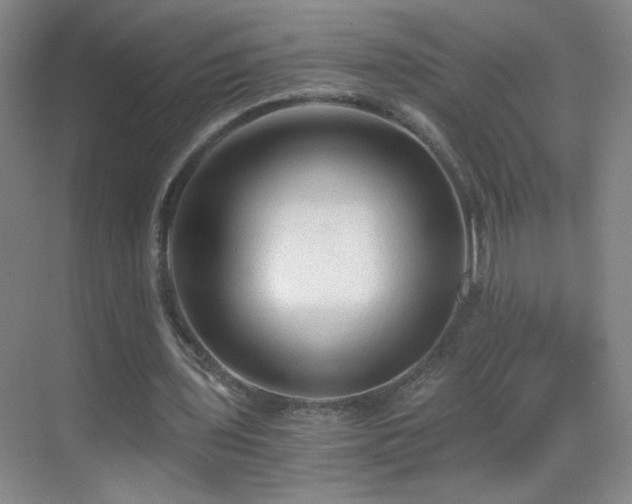 X0000069810435200605221208