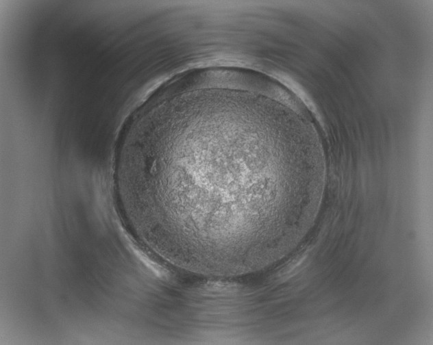 X0000069810437200605221208