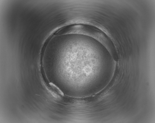 X0000069810438200605221208