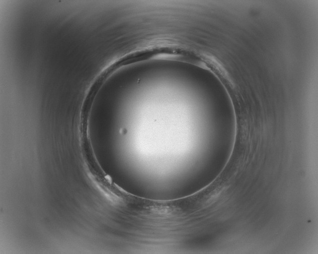 X0000069810439200605221208