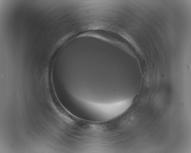 X0000069810442200605221208