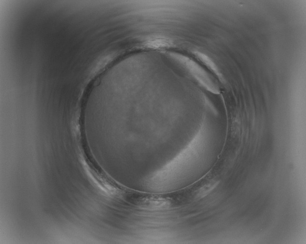 X0000069810443200605221208