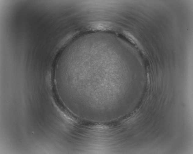 X0000069810444200605221208