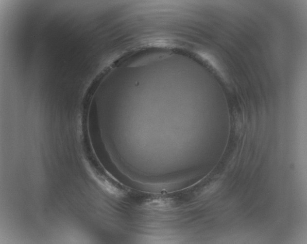 X0000069810447200605221208