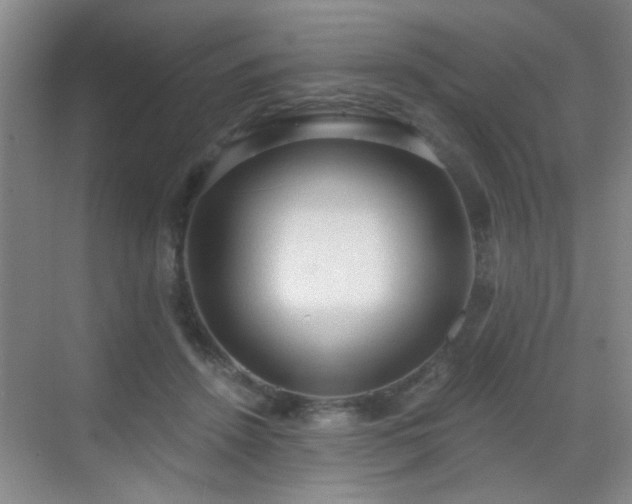 X0000069810456200605221208