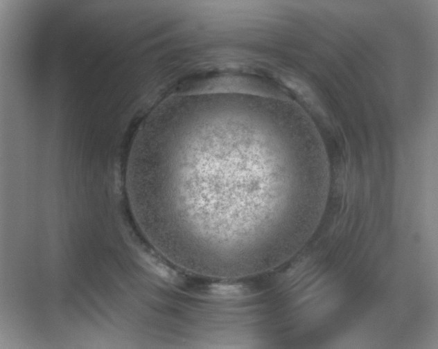 X0000069810457200605221208