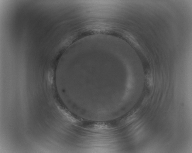 X0000069810458200605221208