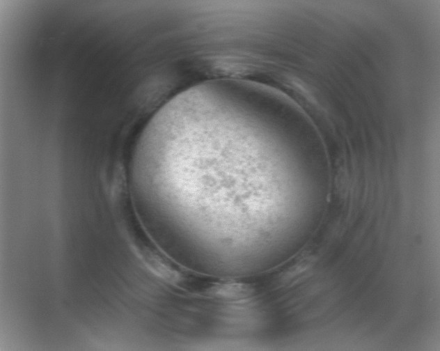 X0000069810459200605221208