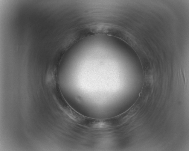 X0000069810460200605221208