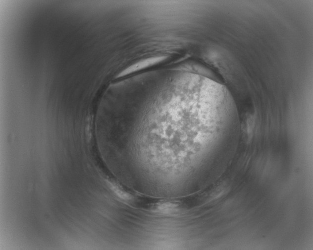 X0000069810462200605221209