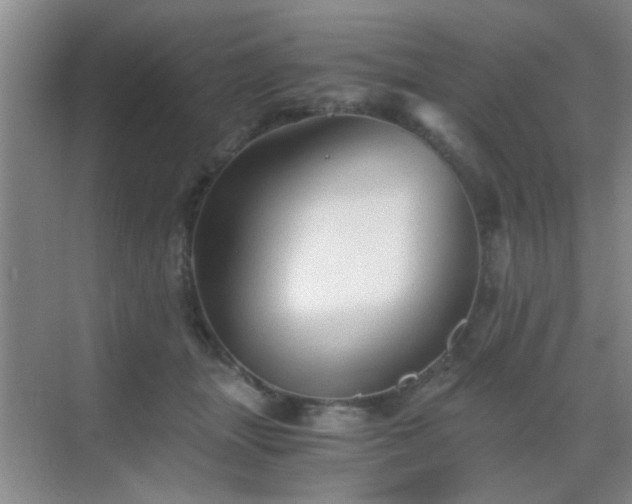 X0000069810463200605221209