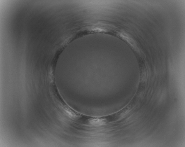 X0000069810465200605221209