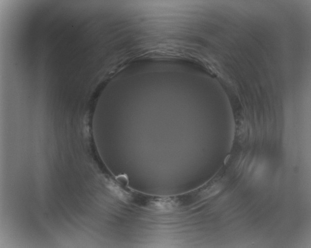 X0000069810466200605221209