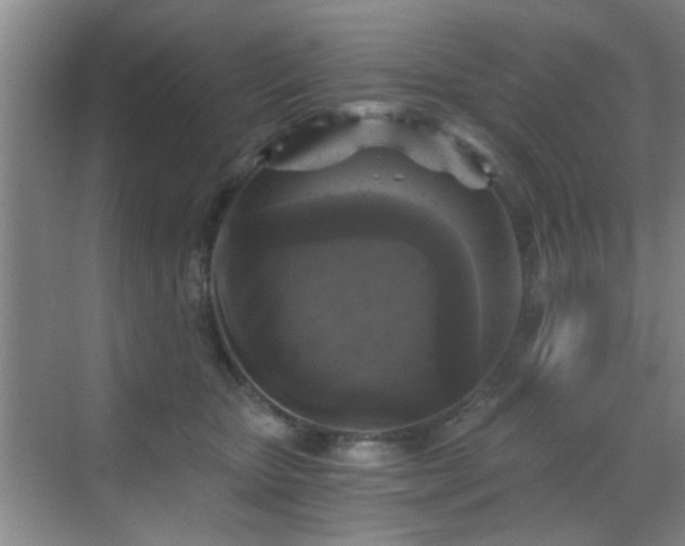 X0000069810467200605221209