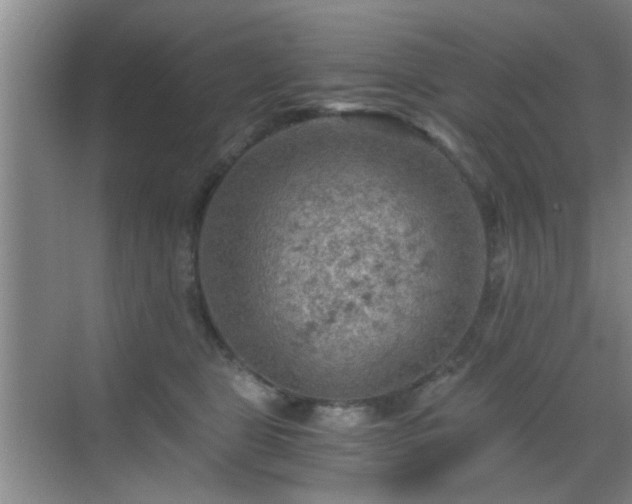 X0000069810469200605221209