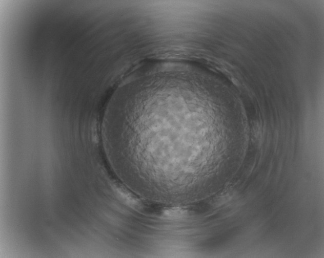 X0000069810470200605221209