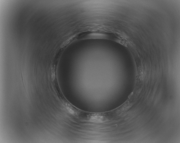 X0000069810471200605221209