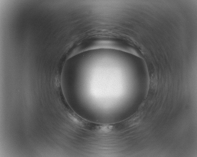 X0000069810474200605221209