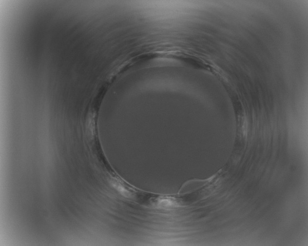 X0000069810475200605221209