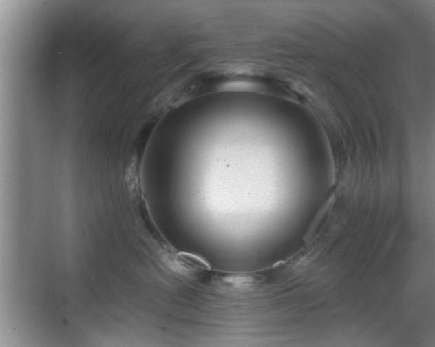 X0000069810478200605221209