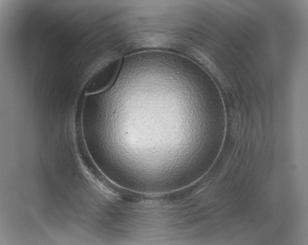 X0000069810482200605221208