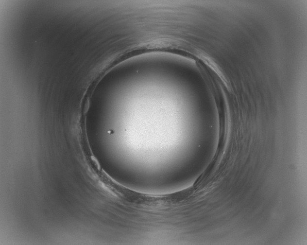 X0000069810485200605221208