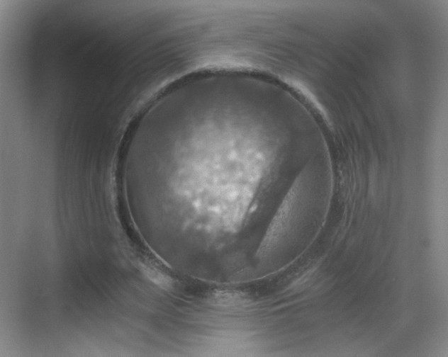 X0000069810487200605221208