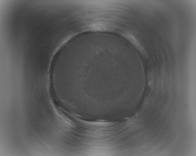 X0000069810488200605221208