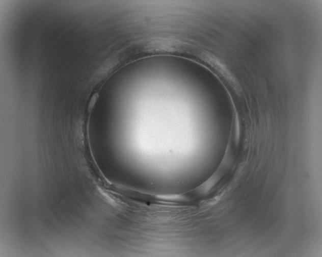 X0000069810489200605221208