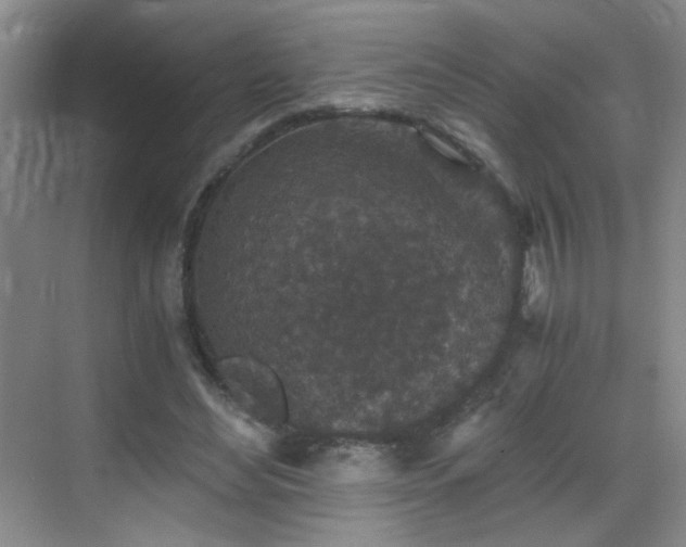 X0000069810492200605221208