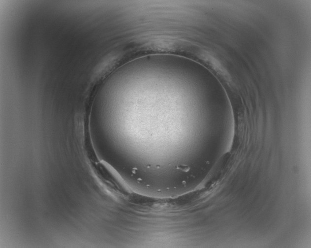 X0000069810493200605221208