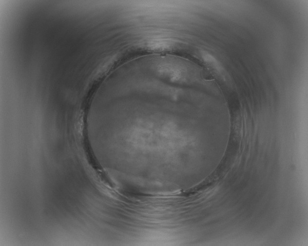 X0000069810495200605221208