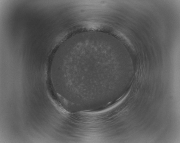 X0000069810496200605221208