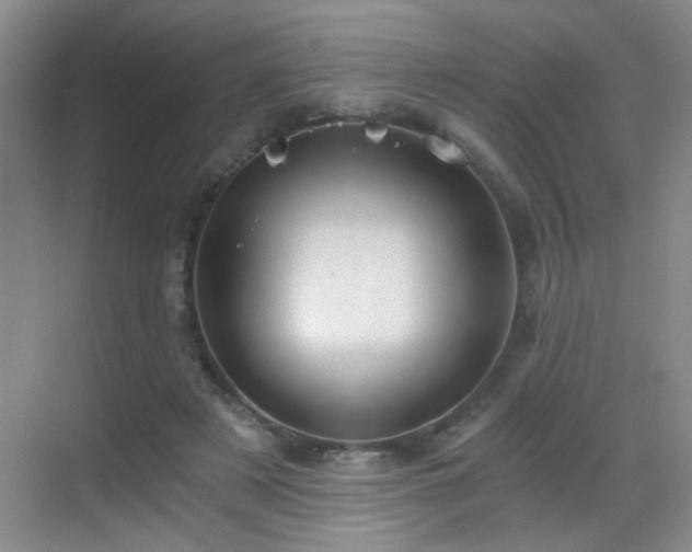 X0000069810497200605221208